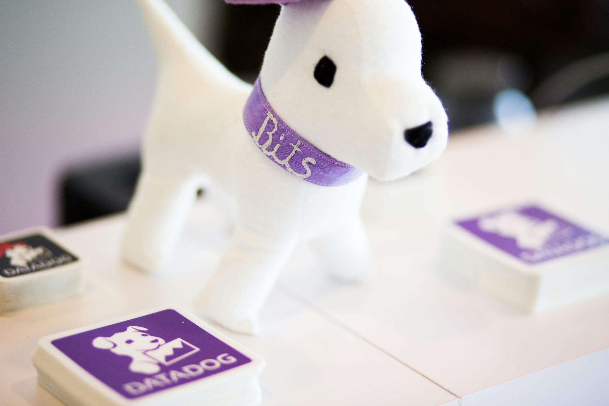 Q3 2020 Earnings: Datadog, Roku, Square, The Trade Desk and JFrog