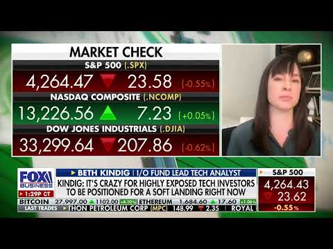Beth Kindig: Hard-landing recession is coming